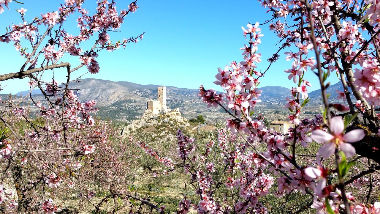 Podiumberg Hotel Quatretondeta Bagian luar foto